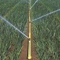 Certa-Set Pipe